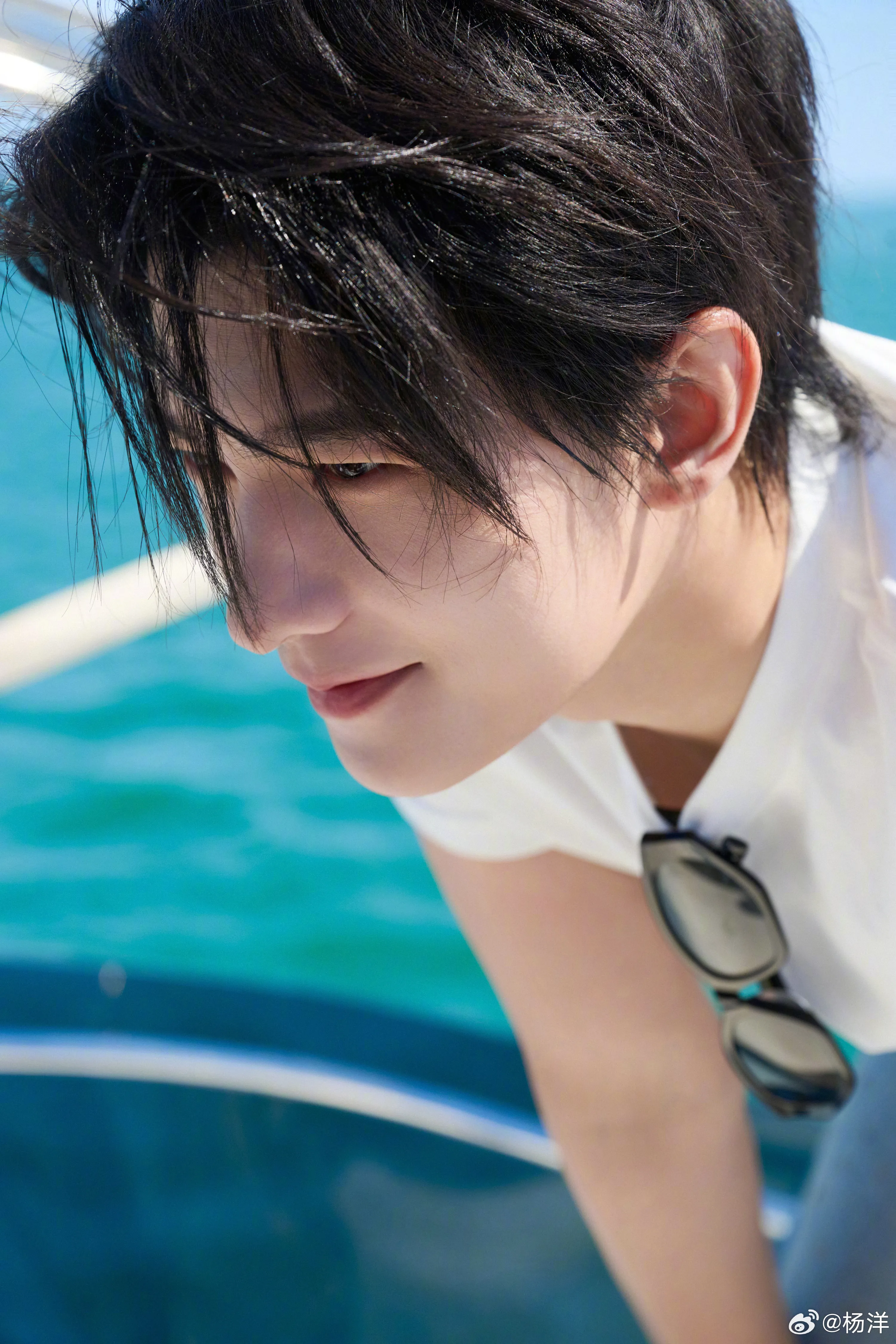 หยาง หยาง